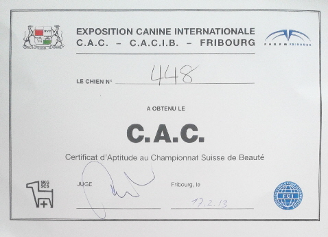 CAC Fribourg 17_2_2013