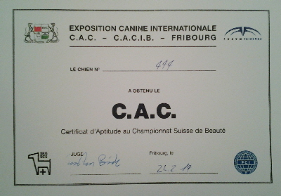 CAC Fribourg 2014